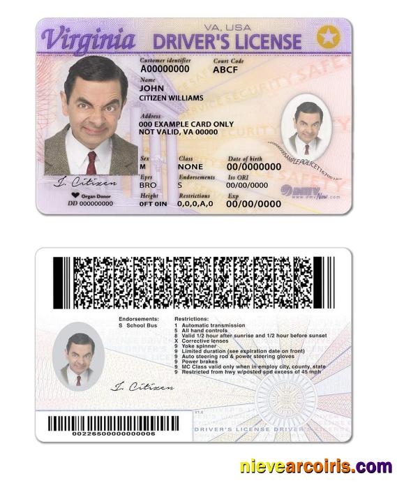 USA Virginia driving license